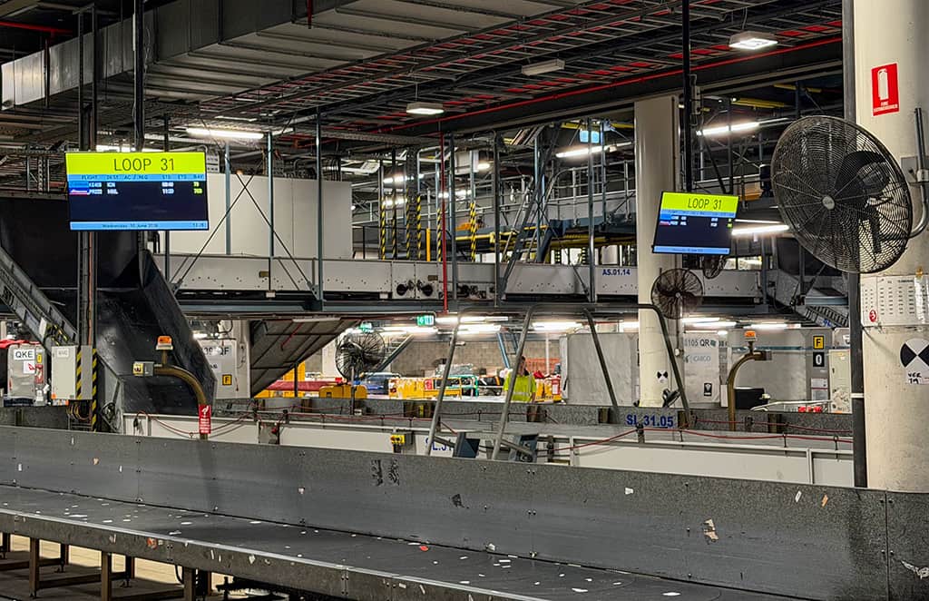 BAGGAGE-HANDLING-pichi